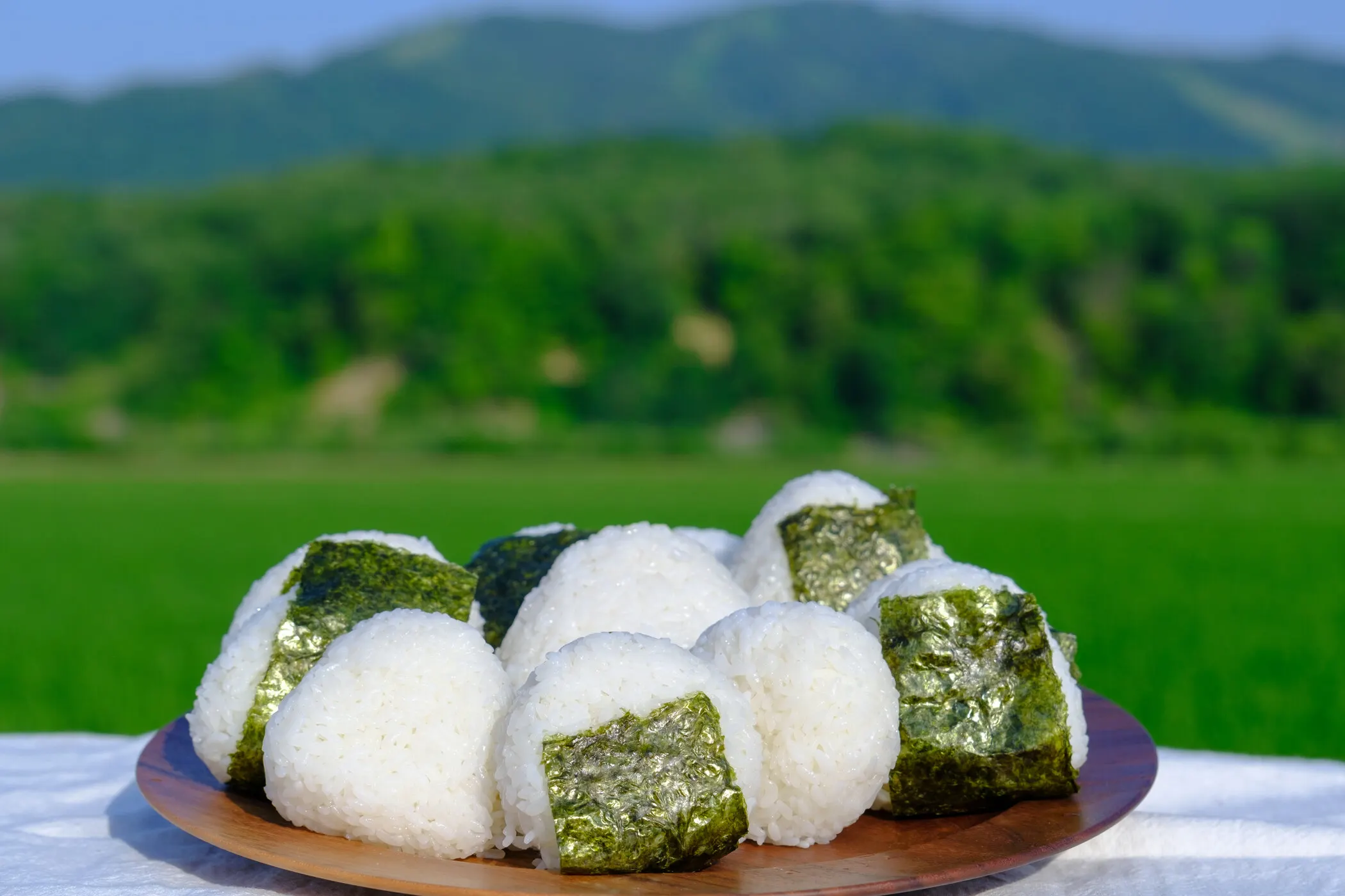 菅原農場のお米づくり 2